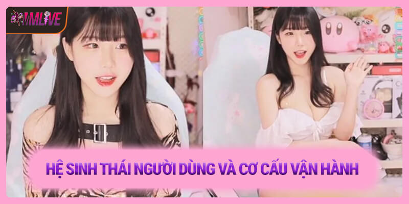 Vì sao nhiều người lại chọn nền tảng MMLIVE