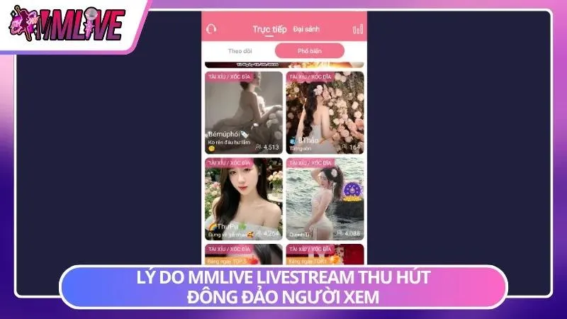 Nhiều streamer sở hữu phong cách riêng tạo sức hút với từng nhóm khán giả