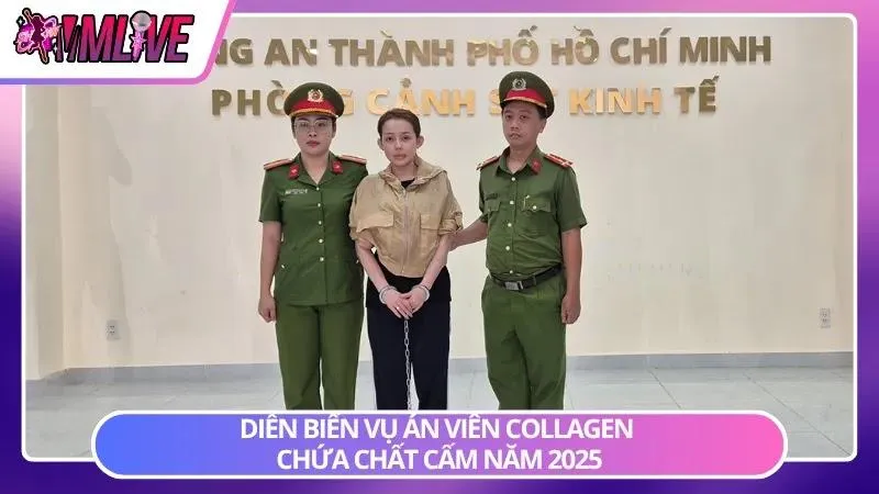 Dòng thời gian tổng hợp các diễn biến quan trọng của vụ việc